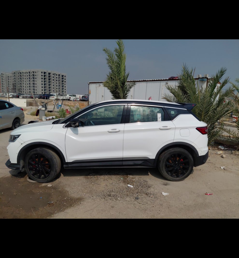 جيلي كول راي  2022 image