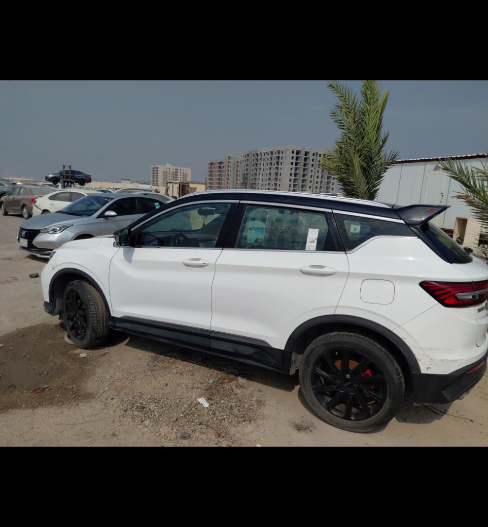 جيلي كول راي  2022 image