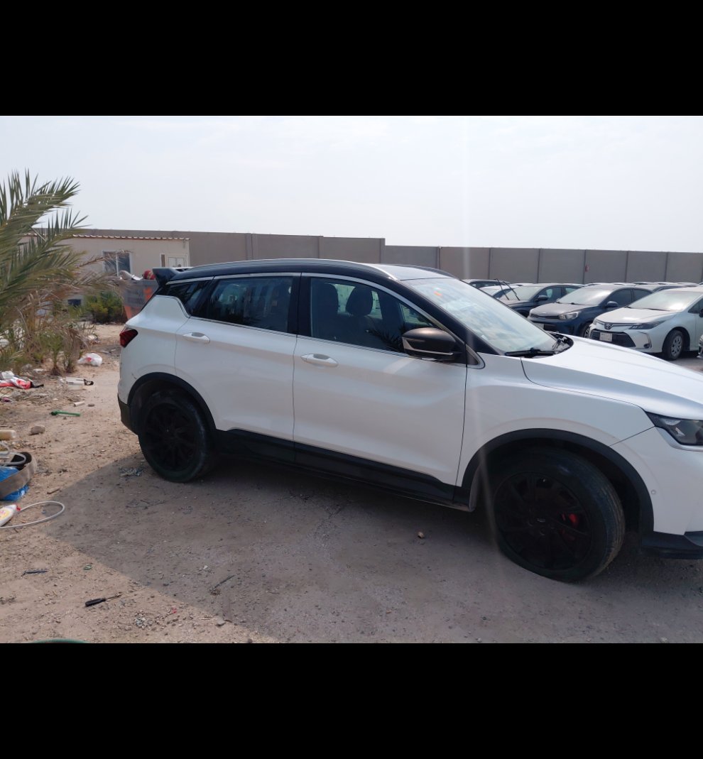 جيلي كول راي  2022 image