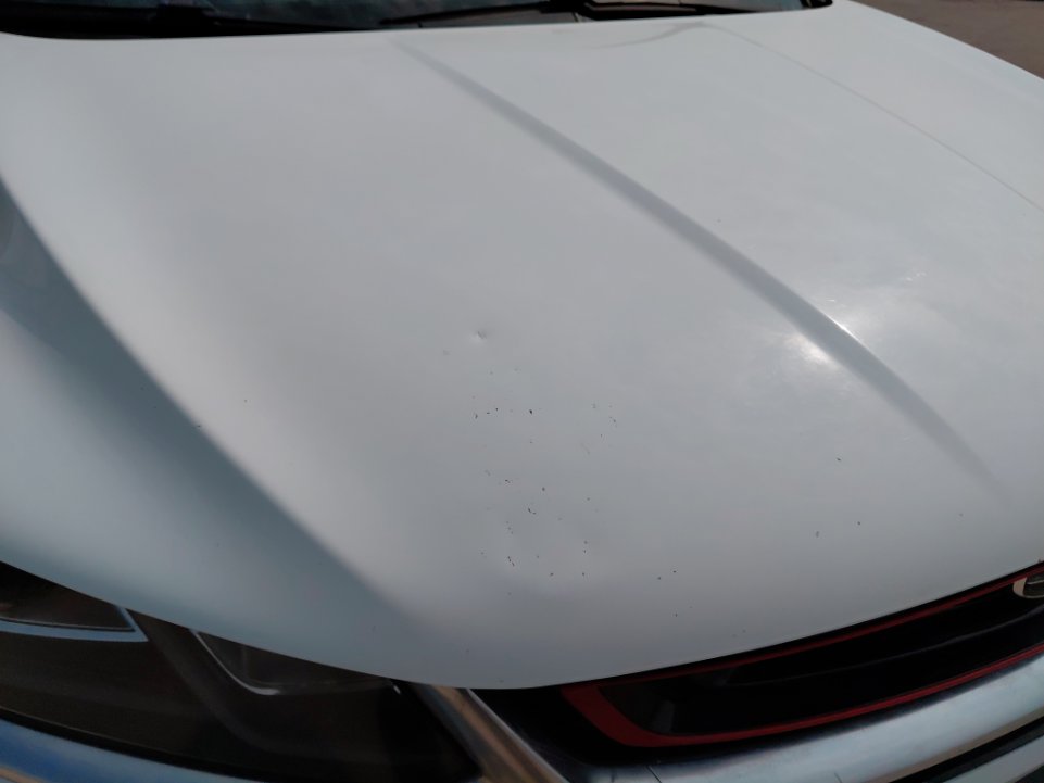 جيلي كول راي  2022 image