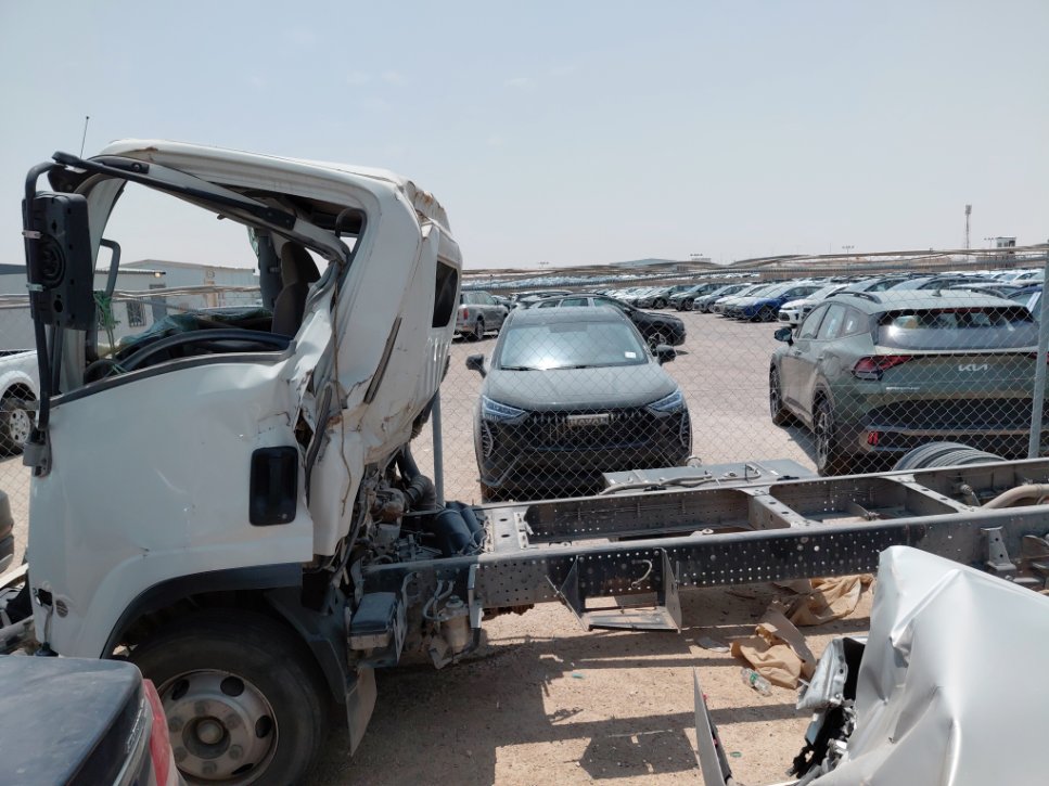 ايسوزو ديينا  2023 image