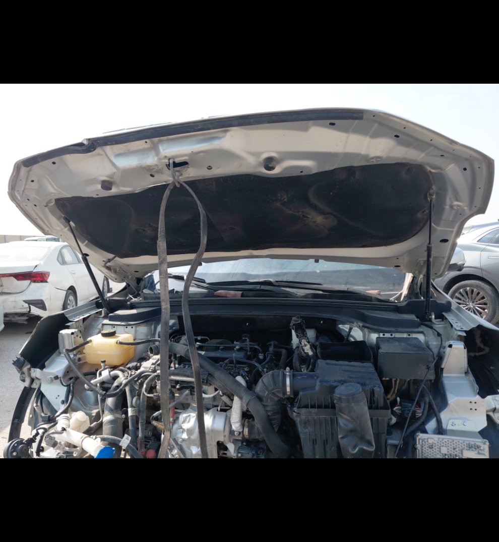 بايك اكس 7  2024 image
