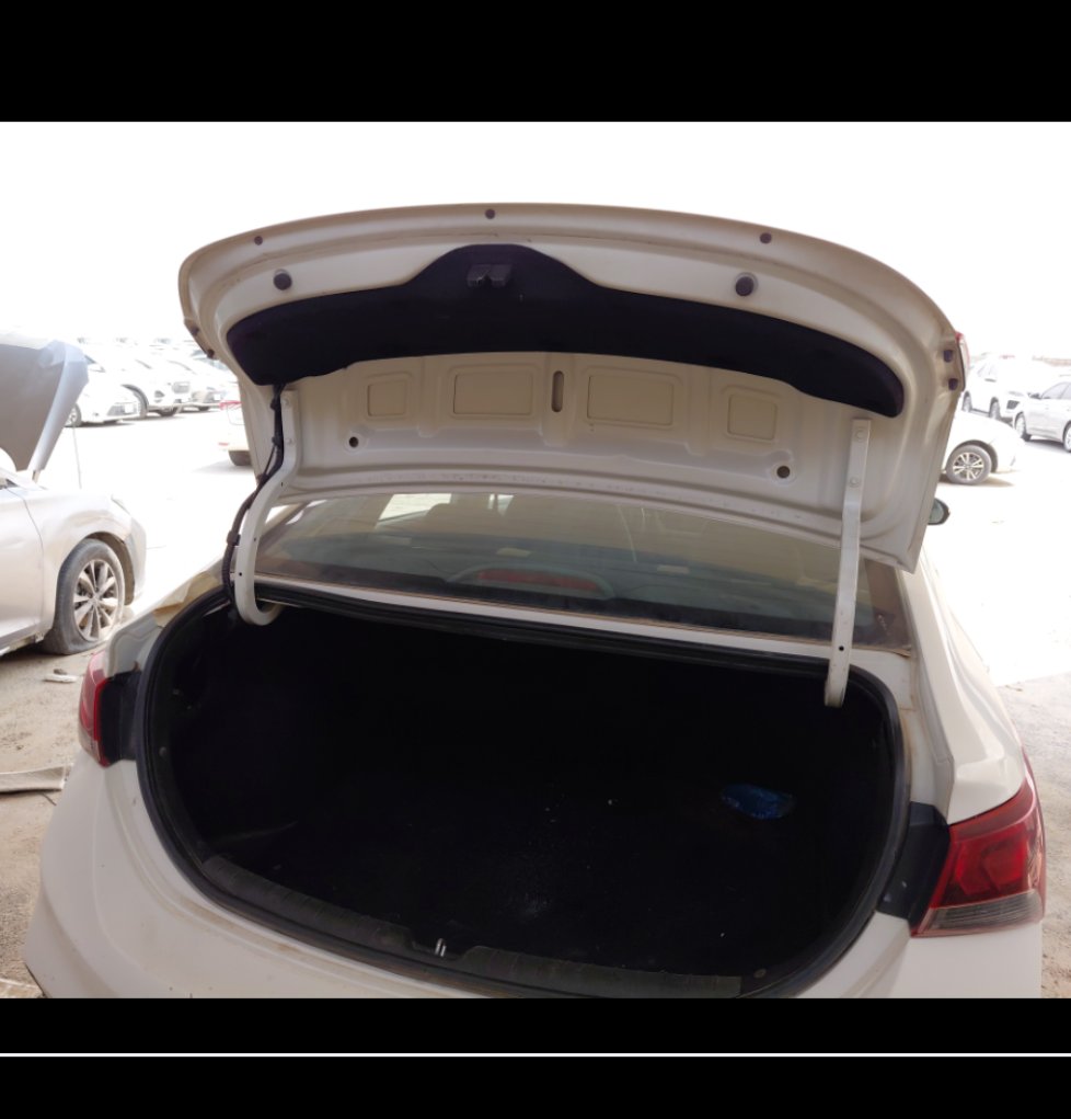 هيونداي أكسنت FLEET 2019 image