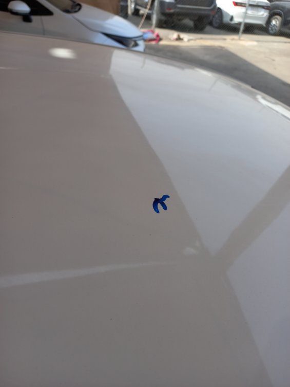 هيونداي إلنترا FLEET 2021 image