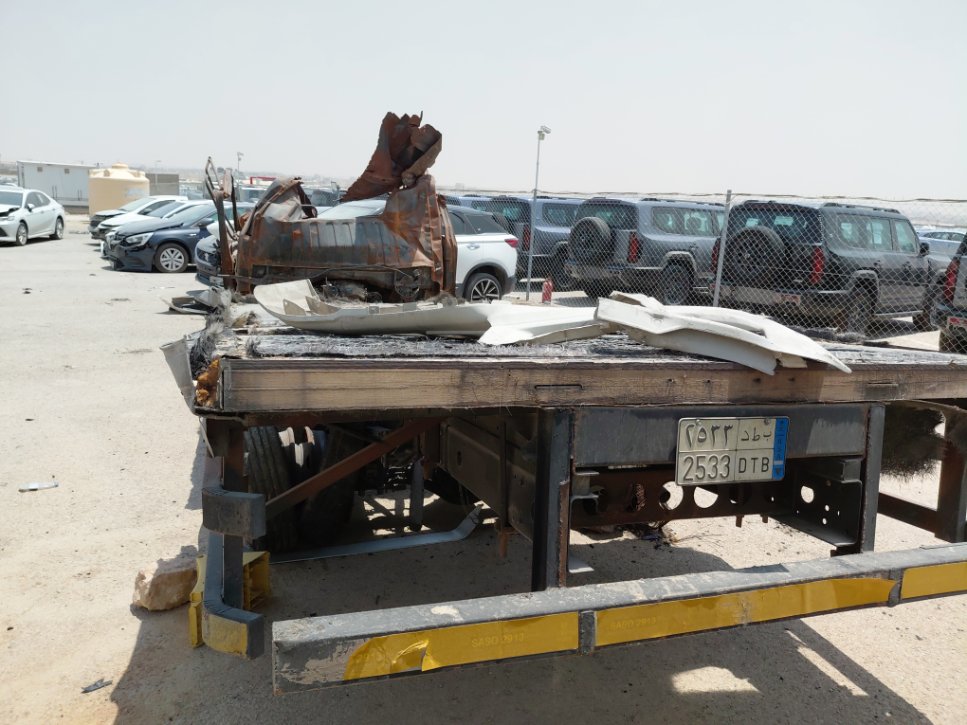 ايسوزو ديينا  2023 image