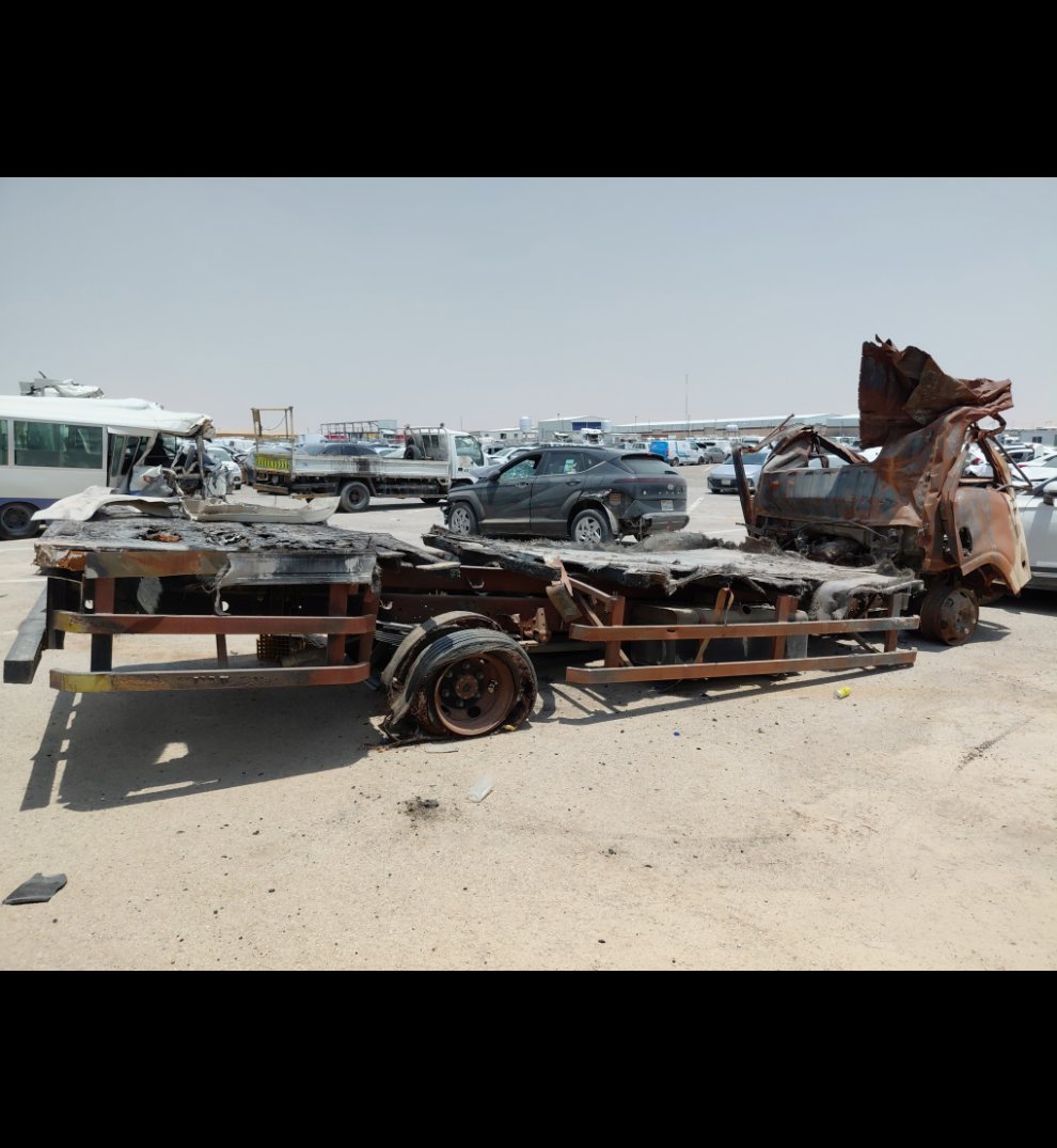 ايسوزو ديينا  2023 image