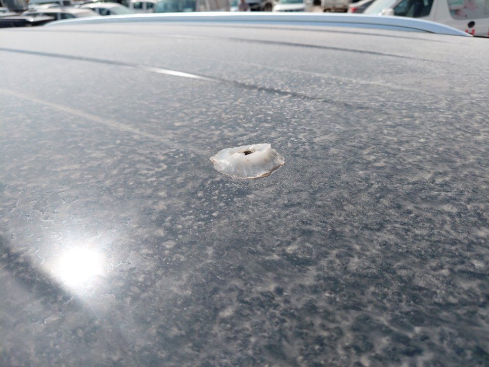 شفروليه تاهو LS 2023 image
