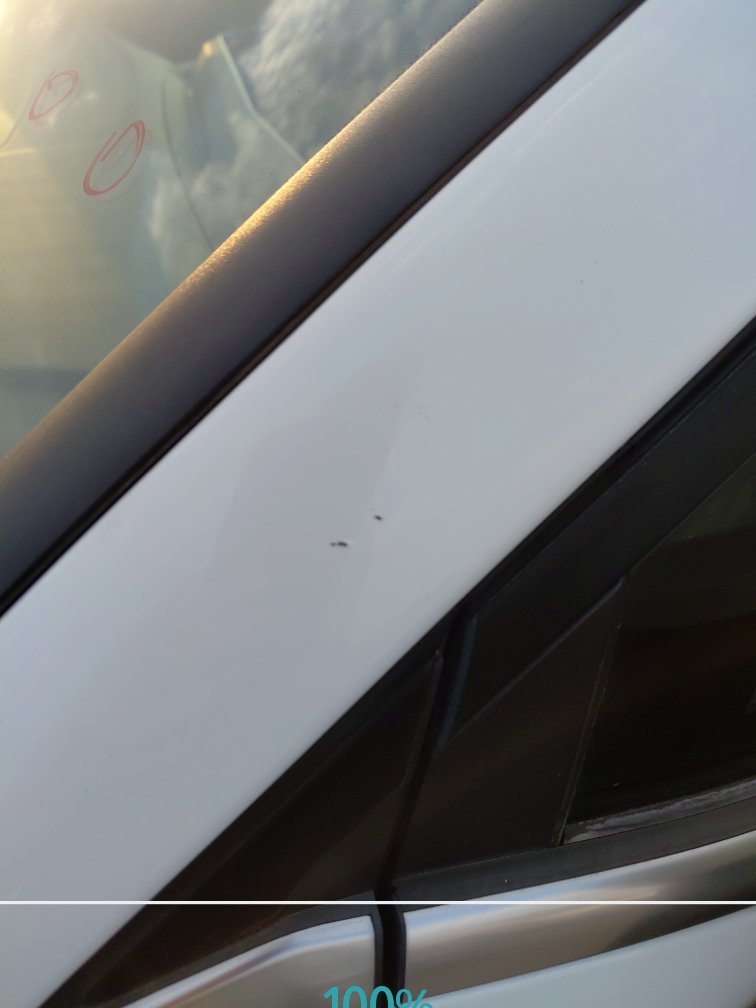 كيا سبورتاج NQSE SPORTAGE LX 4WD 2023 image