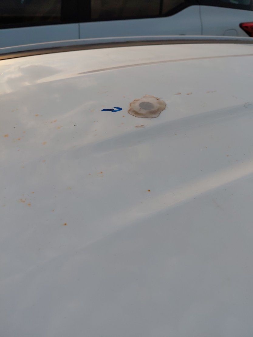 كيا سبورتاج NQ5E SPORTAGE LX 4WD 2023 image