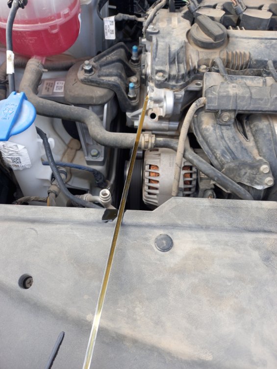 كيا سبورتاج NQSE SPORTAGE LX 4WD 2023 image