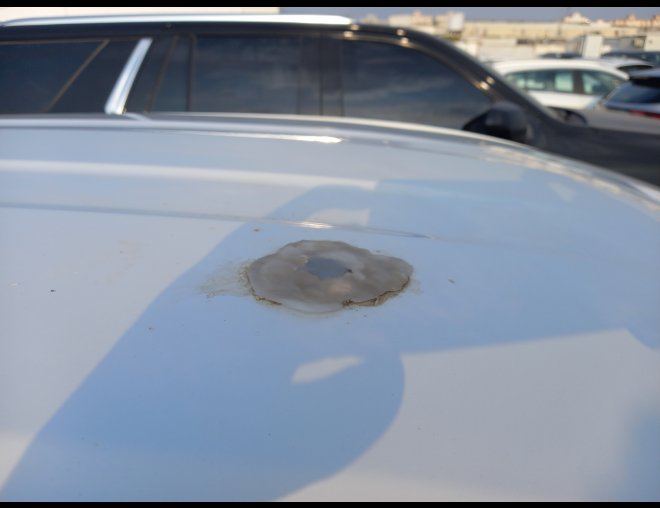 كيا سبورتاج NQSE SPORTAGE LX 4WD 2023 image