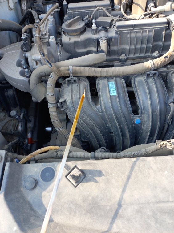 كيا سبورتاج QLE SPORTAGE LX 4WD 2022 image