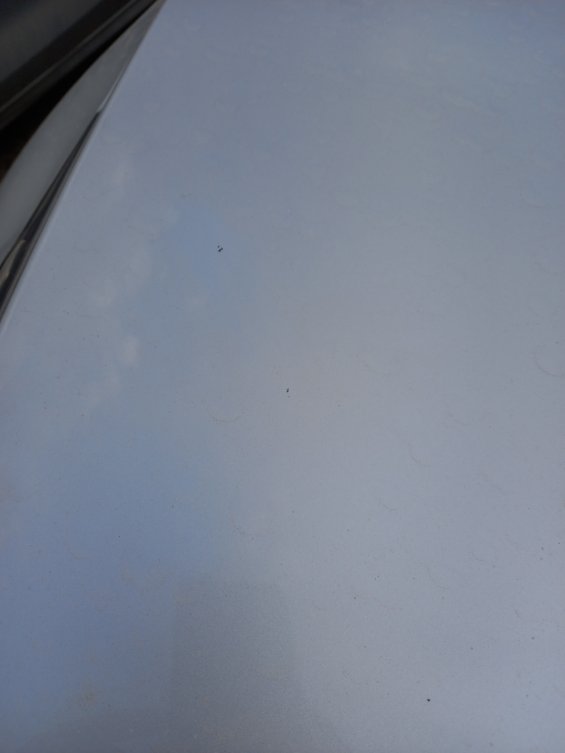 كيا سبورتاج NQ5E SPORTAGE LX 4WD 2023 image