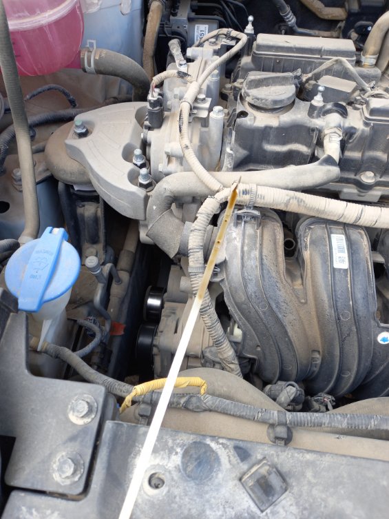 كيا سبورتاج QLE LX 4WD 2022 image