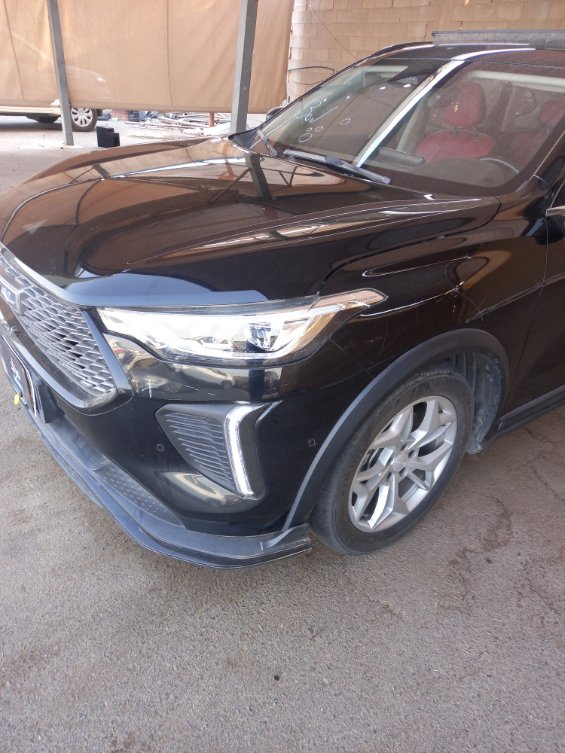 هافال جوليان برو 2025 image
