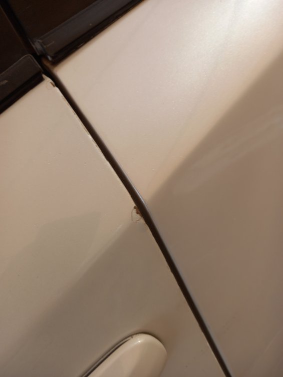 Toyota Corolla  2022 image