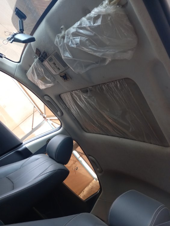 شانجان السفن  2023 image