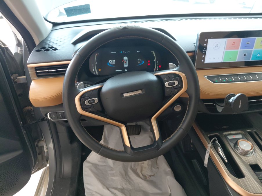 هافال جوليان  2025 image