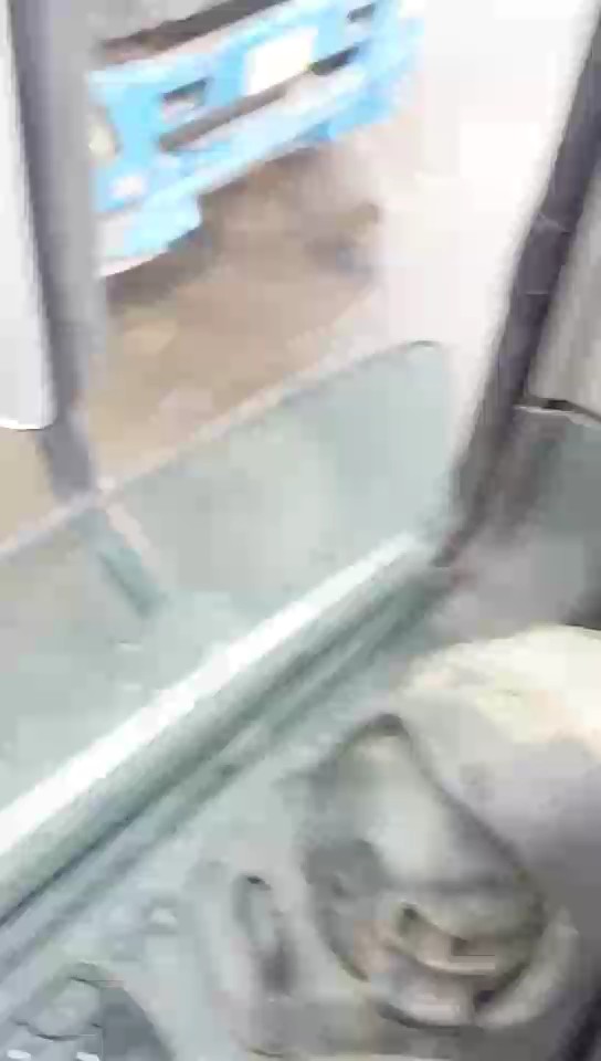 مرسيدس اكتروس 2040 -  2009 video