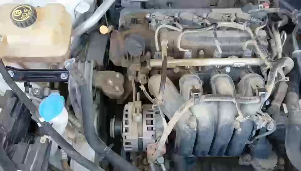 بايك D50  2024 video