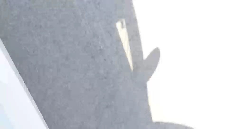 كيا بيجاس FLEET  2020 video