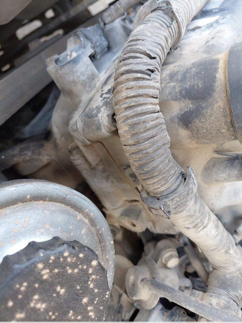 تويوتا انوفا  2009 image