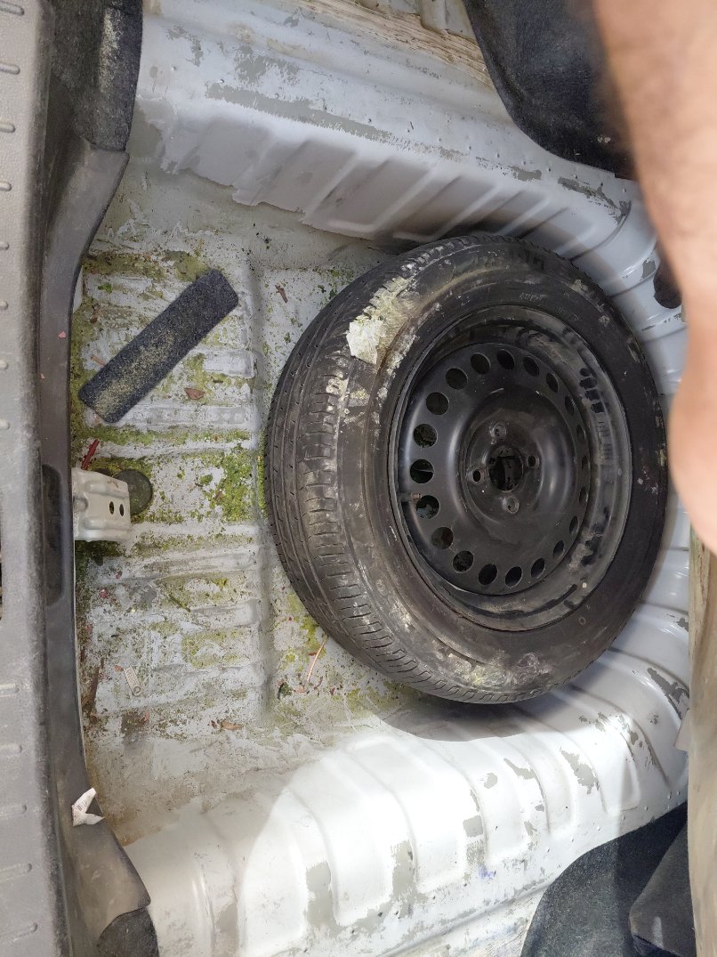 نيسان صني FLEET 2022 image