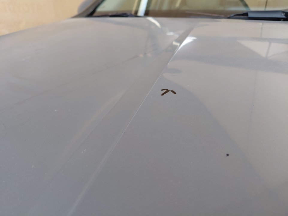 هيونداي سوناتا FLEET  2022 image