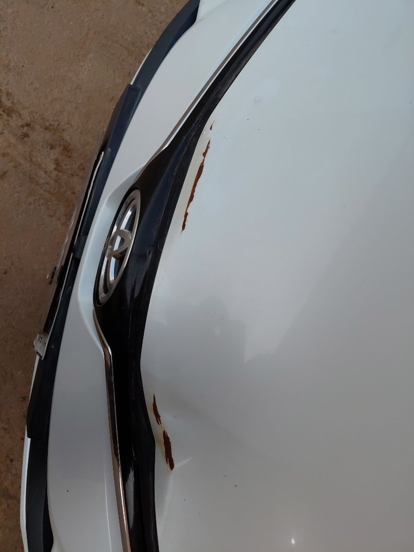 Toyota Corolla XLI EXE M/R  2024 image