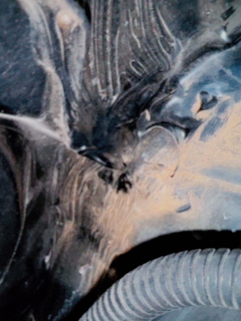 تويوتا إف جي كروزر  2022 image