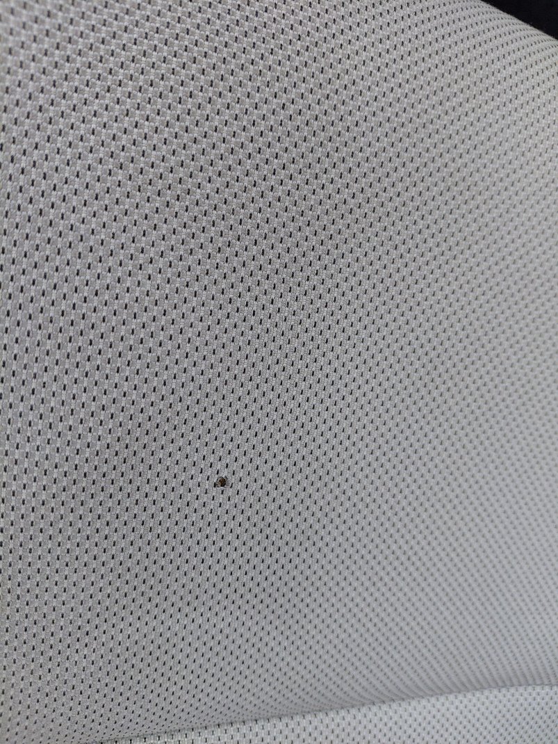 تويوتا كورولا XLI  2022 image