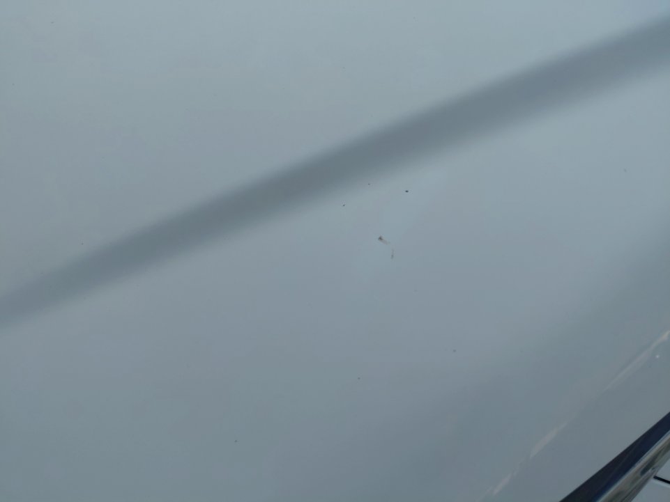 تويوتا كورولا XLI  2022 image