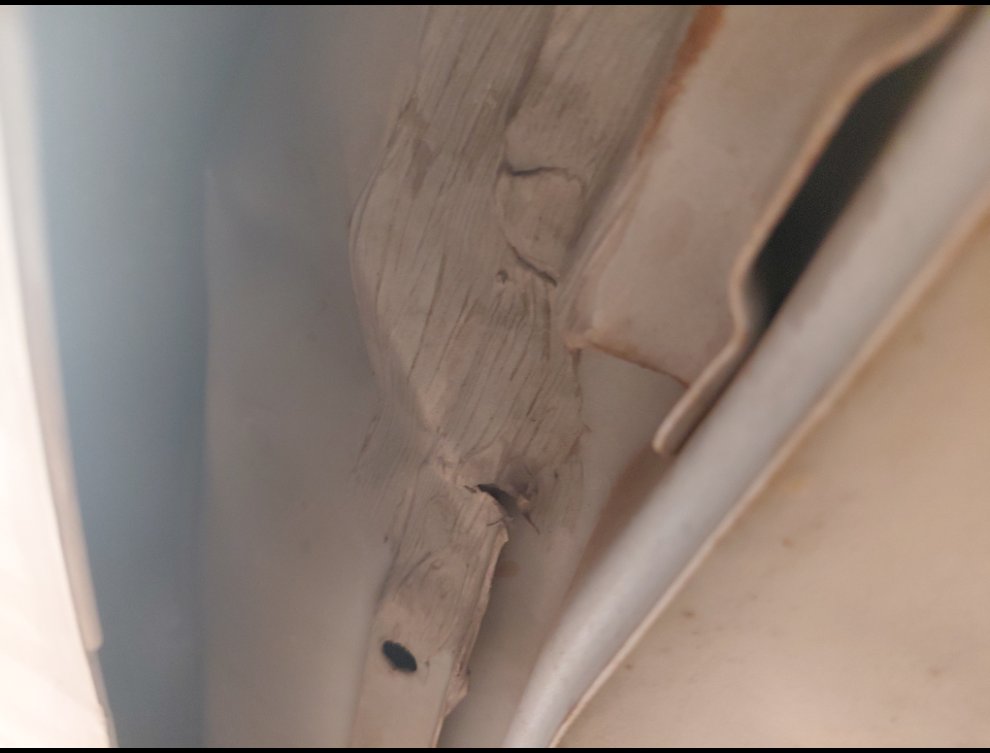 سوزوكي بالينو FLEET 2023 image