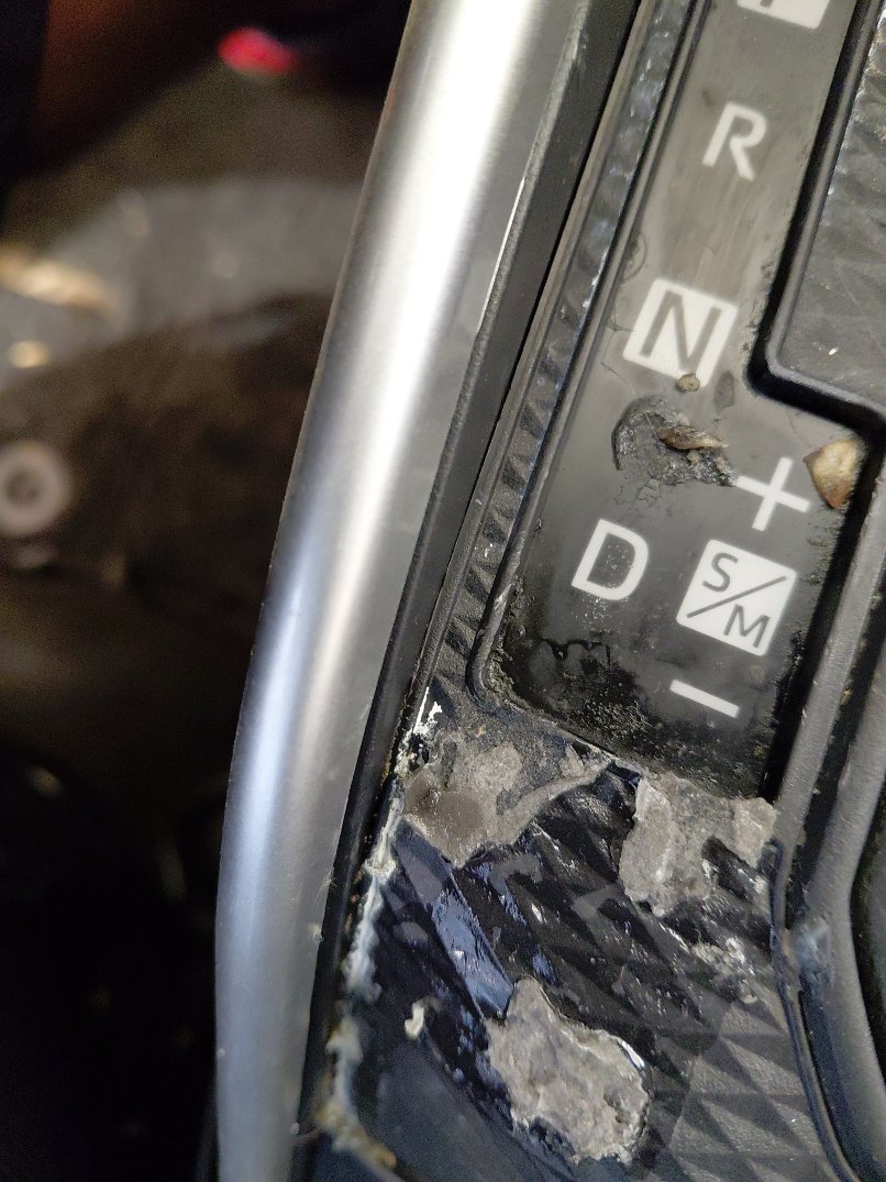 Toyota RAIZE XLE 2024 image