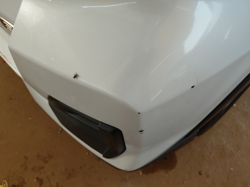 Toyota RAIZE XLE 2024 image