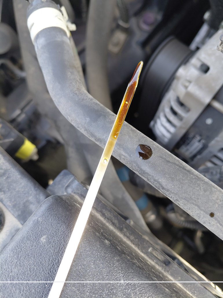 تويوتا كورولا XLI EXECUTIVE 2024 image