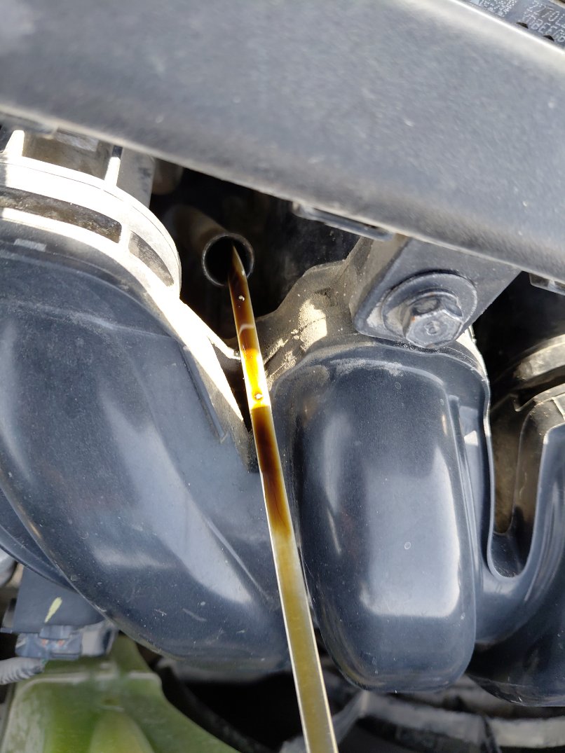 كيا بيجاس اي اكس 2021 image