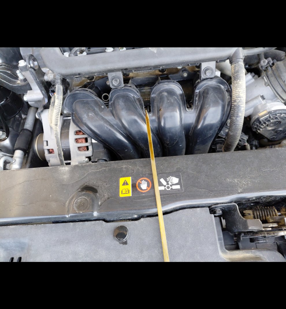 كيا بيجاس LX 2023 image