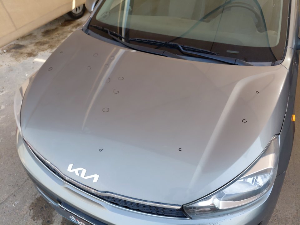 كيا بيجاس LX 2023 image