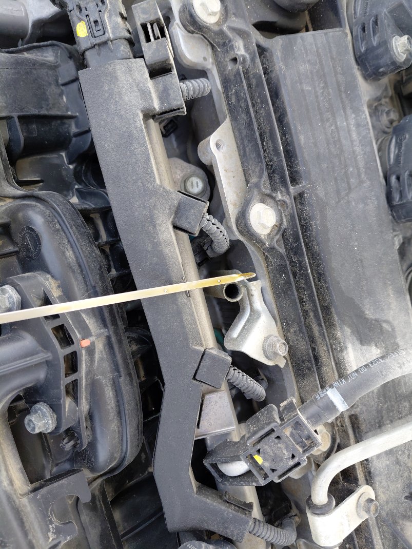 تويوتا كورولا XLI 2024 image