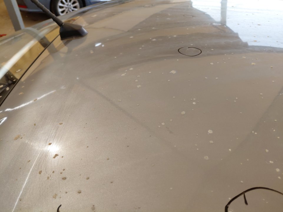 كيا بيجاس LX 2023 image