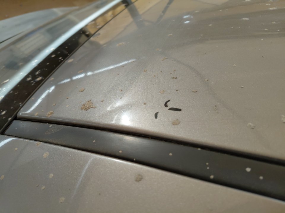 كيا بيجاس LX 2023 image