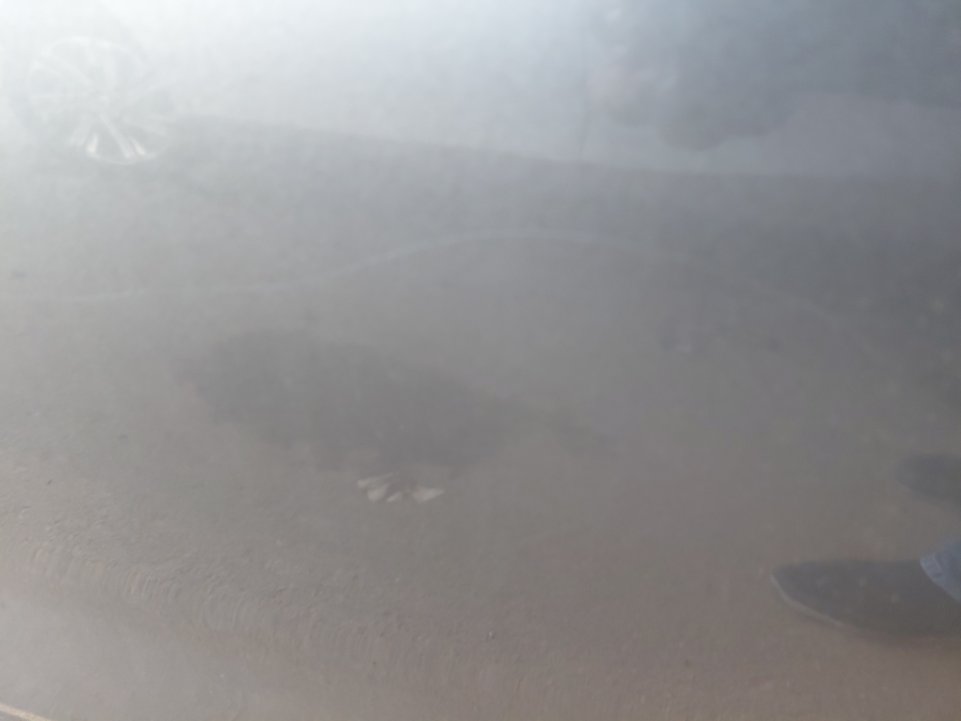 كيا بيجاس LX 2023 image