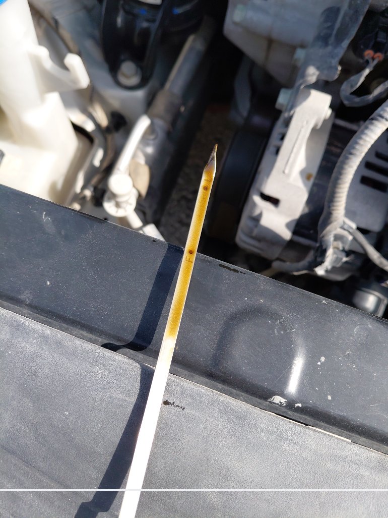 Hyundai Accent FLEET  2020 image