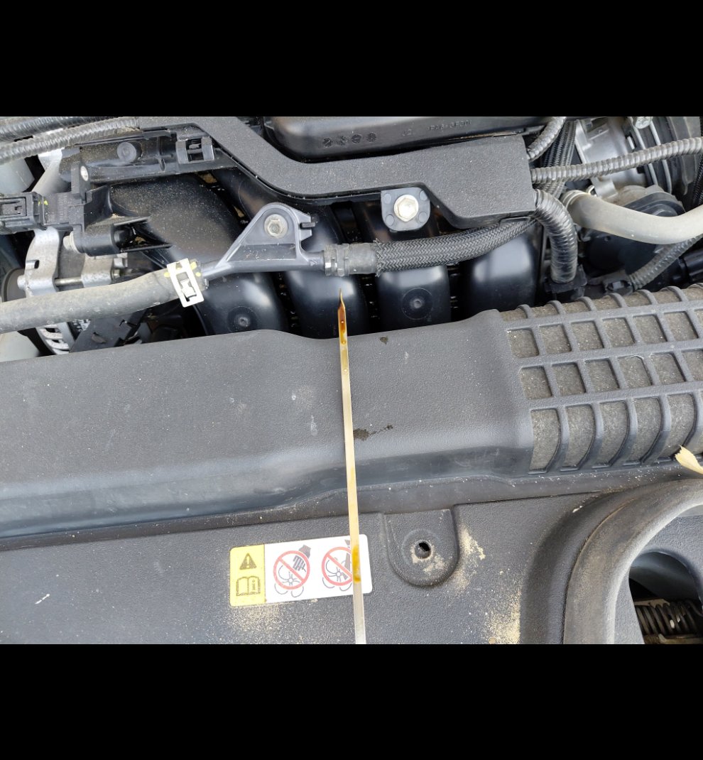 تويوتا كورولا XLI 2024 image