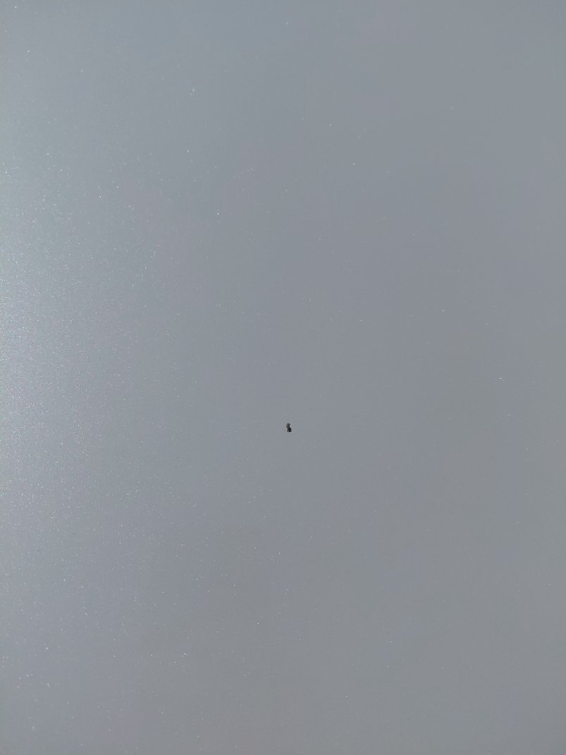 تويوتا كورولا XLI 2024 image