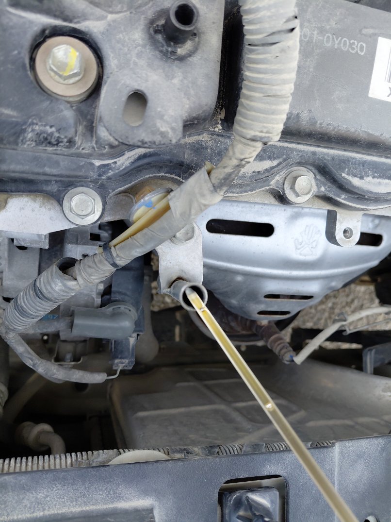 Toyota Yaris Y 2021 image