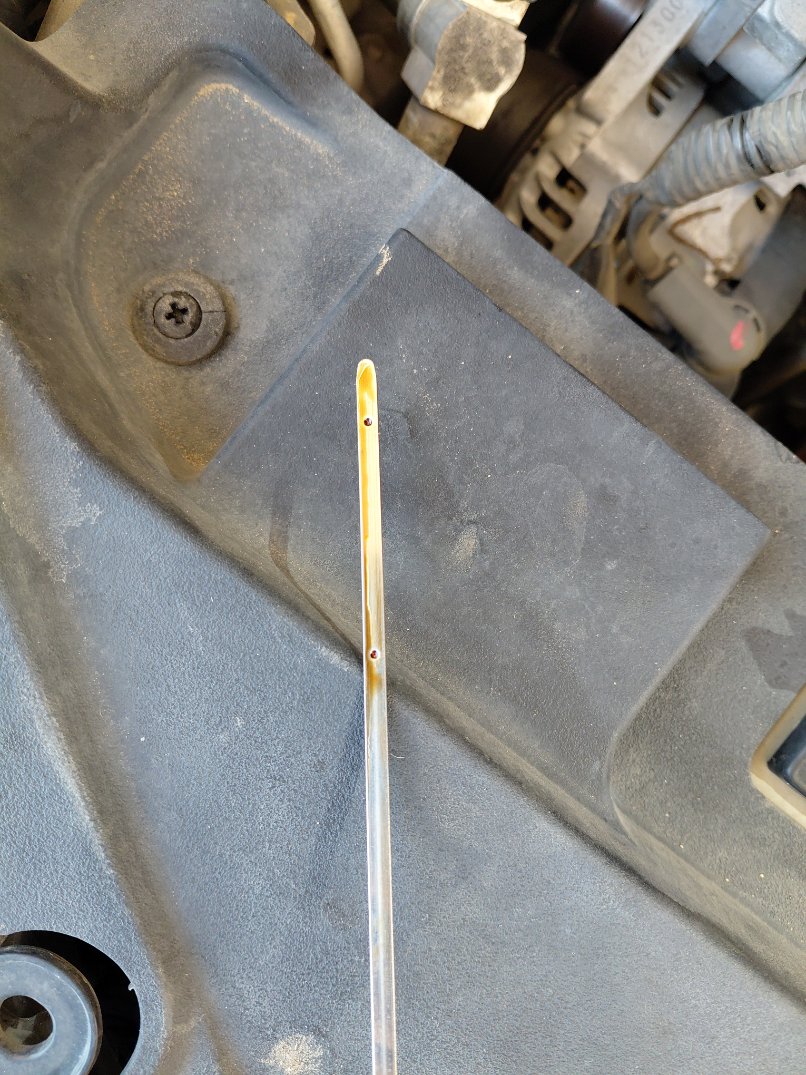 Toyota Yaris Y 2022 image