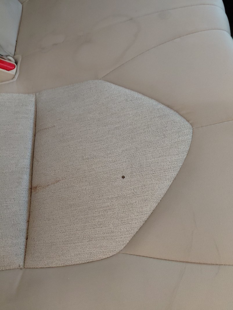 Toyota Camry LE STD  2022 image