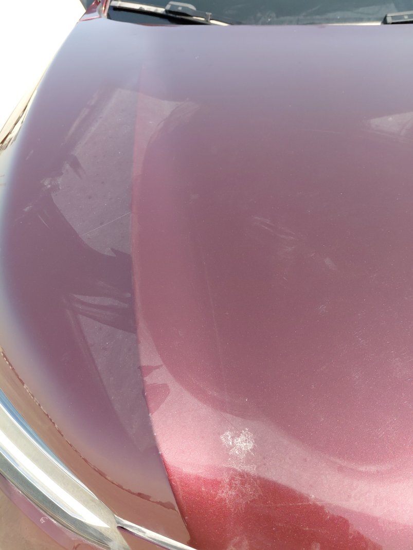 هوندا ZR-V  2023 image